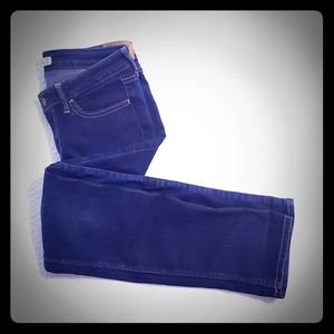 Hollister Dark Wash Skinny Jeans (7S)